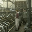 La production industrielle au service de la puissance d’occupation : un soldat allemand à côté d’ouvrières d’une usine textile à Menin en Belgique