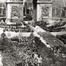 La fête de la victoire le 14 juillet 1919 devant l’Arc de triomphe : un an plus tard, la tombe du Soldat inconnu est inaugurée en ces lieux.  