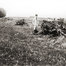 Canons allemands abandonnés après la bataille de la Marne