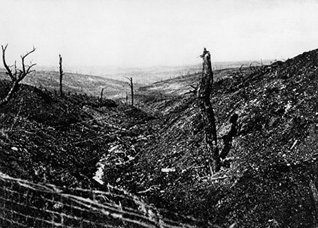 Paysage dévasté près de Verdun