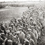 Soldats allemands tombés en captivité américaine